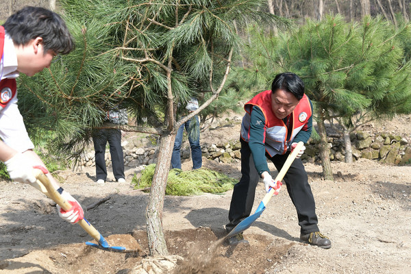 ◇ 이성헌 서대문구청장(오른쪽)이 홍제동 산 1-100 일대에 나무를 심고 있다.